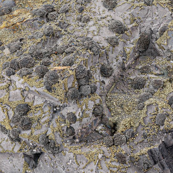 Plagionite-Pfannenberger Einigkeit Mine | Salchendorf | Siegen | Siegerland | North Rhine-Westphalia | Germany